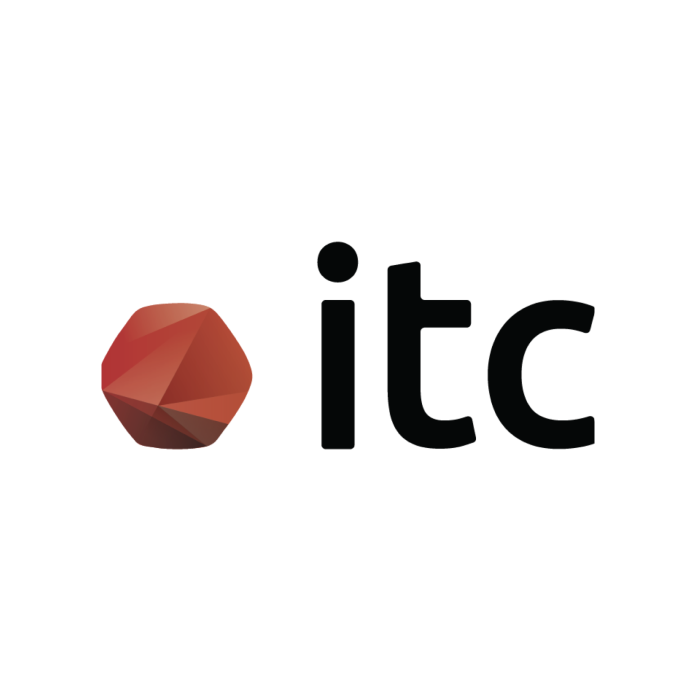 IT Consultis logo